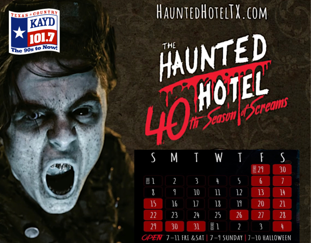 The Haunted Hotel 2024 Review Stacy Elsinore